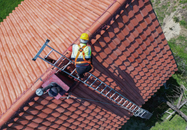 Best Steel Roofing  in Earlimart, CA