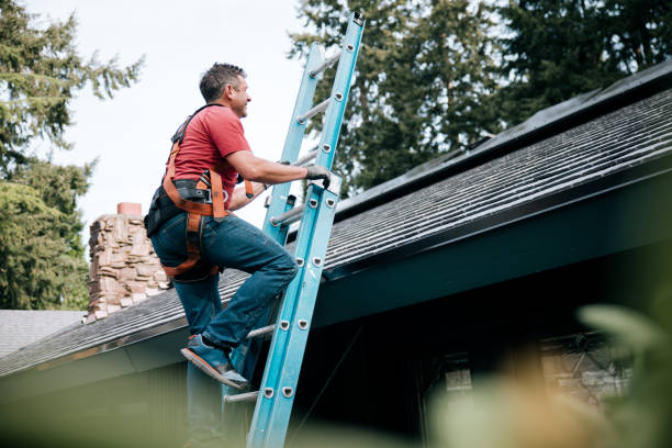 Best Skylight Installation and Repair  in Earlimart, CA